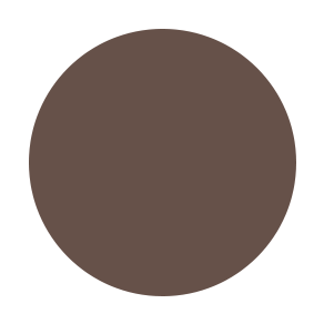 NoName Cosmetics Augabrúnagel (Brow fix)